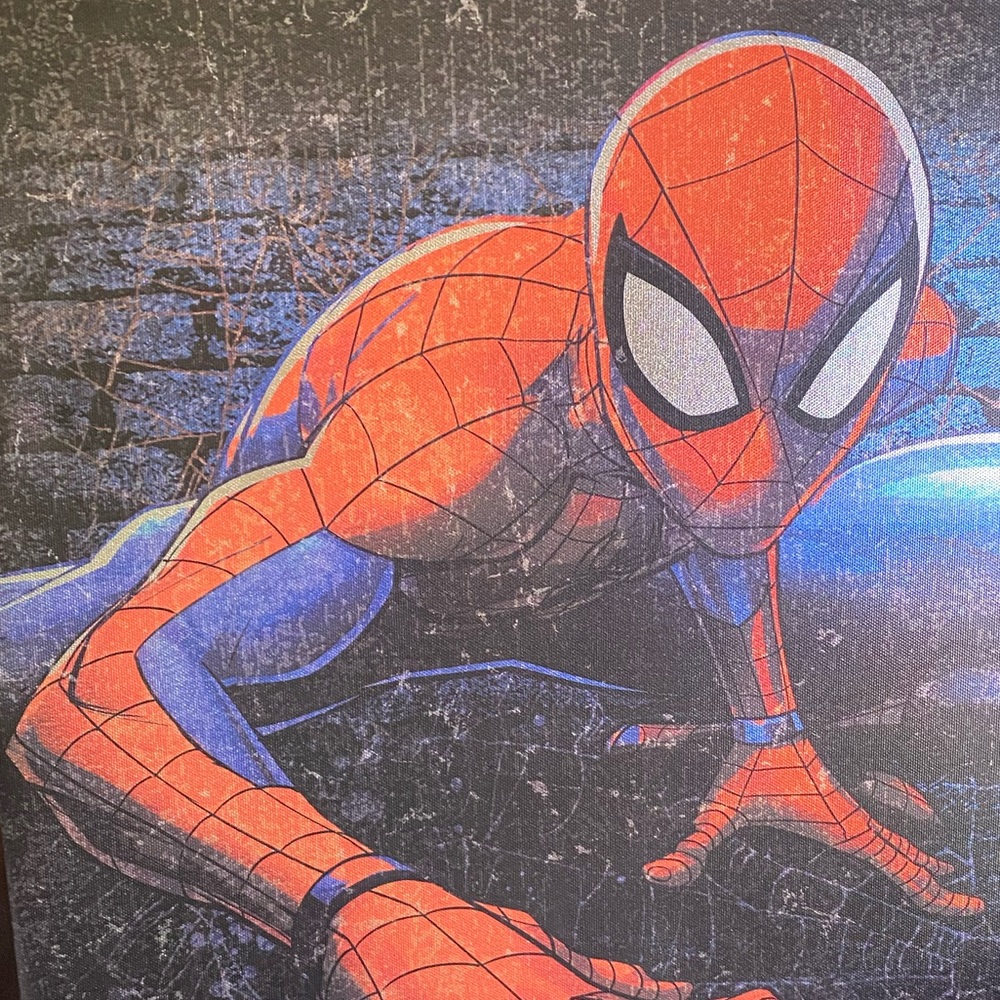 Spider-Man Picture Frame - Picture 8 of 8